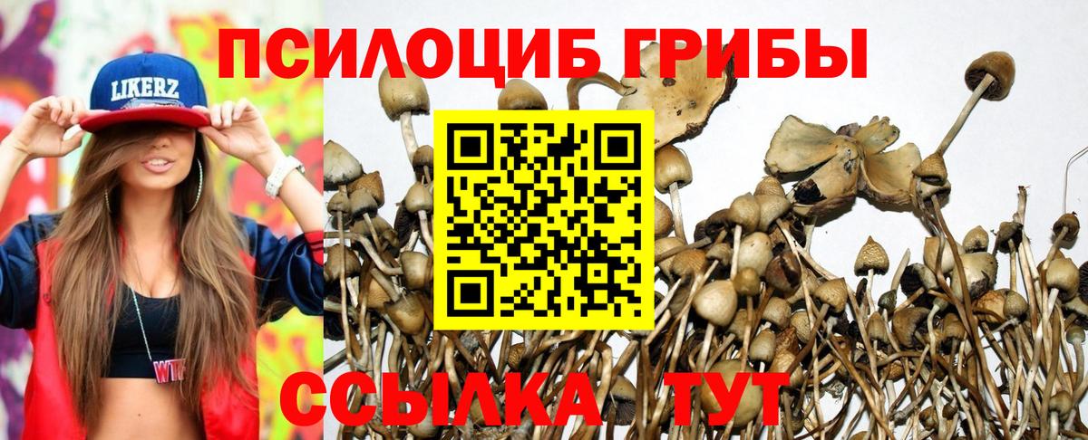 Георгиевск  Галлюциногенные грибы Magic Shrooms  Вход с VPN 