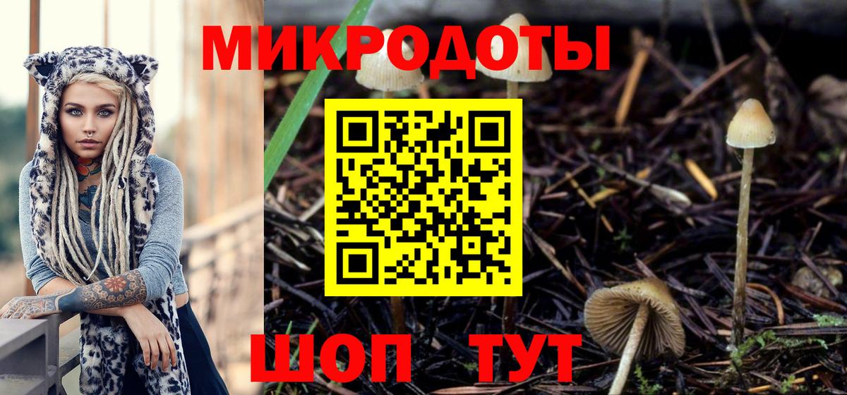 Галлюциногенные грибы Psilocybine cubensis Георгиевск
